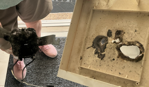 Close-up of a burned exhaust fan and motor from an electrical failure.