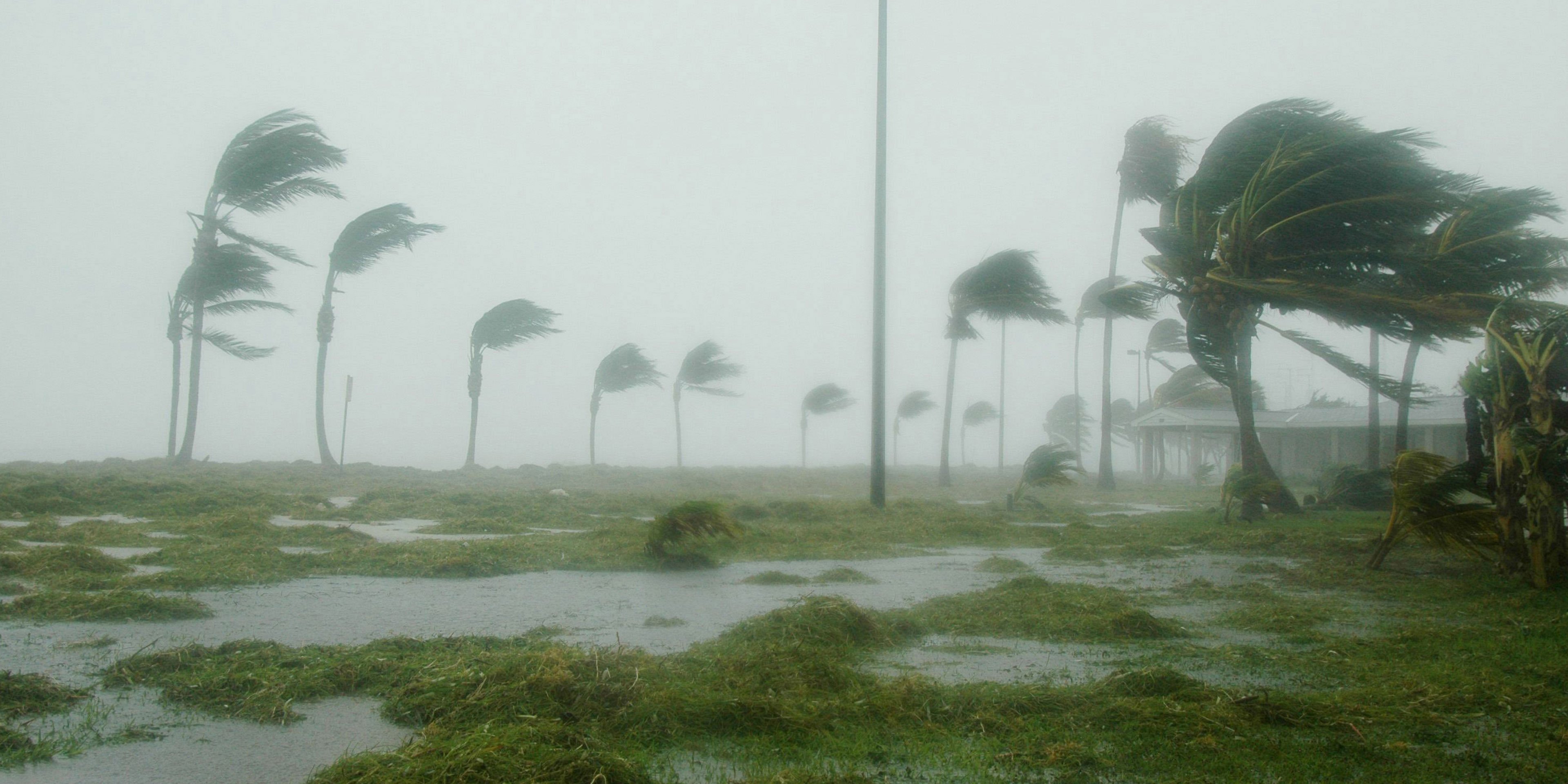 What to Do After a Storm Causes Flooding in Your Home: Apollo Beach & Ruskin Following Hurricane Helene