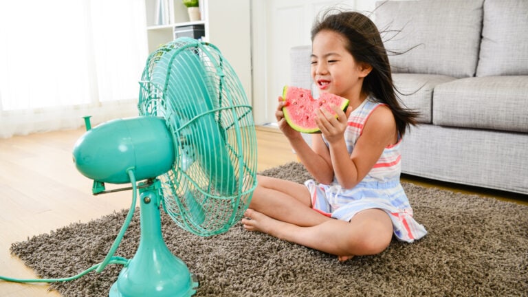 reduce electric bill, girl sitting in front of fan with watermelon