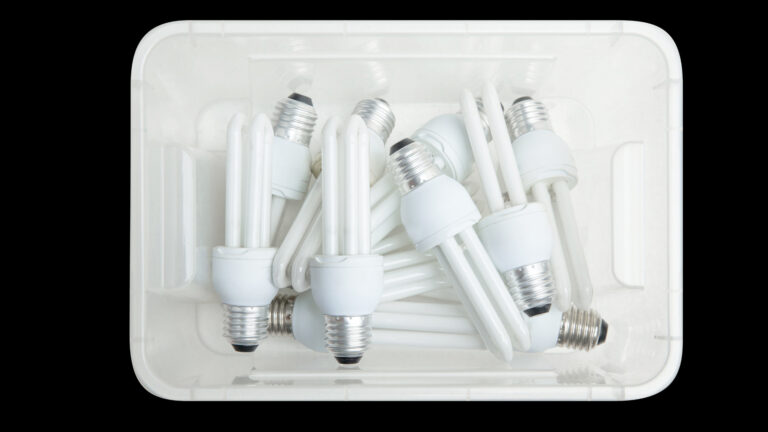 dispose of fluorescent bulbs